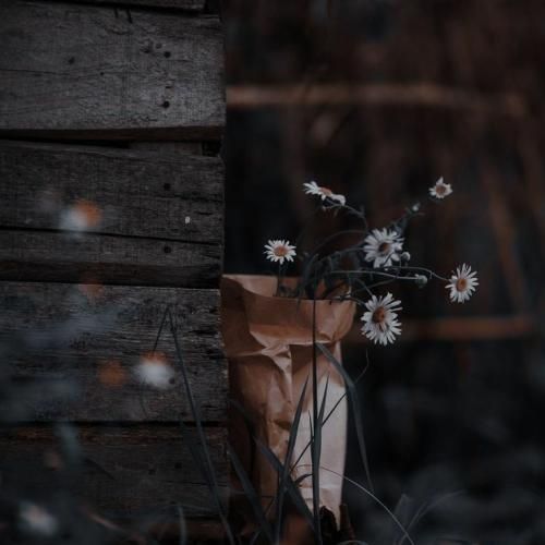 بگو هنوزم منو یادته گذاشتی روزامون خاطره بشه