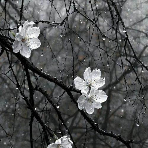  تا یکی میفهمه که محکمه جاش هول میکنه