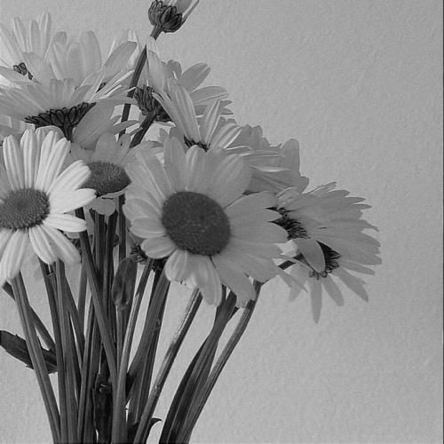 Matt Hansen Let Me Go