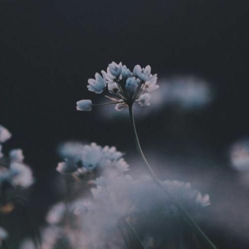  کندی کندی نا امیدی این دل رو اسیرت ورژن قدیمی