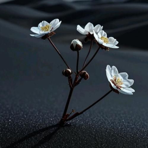  شب بیا توی ترپ خونه سر تسلیحات بگو