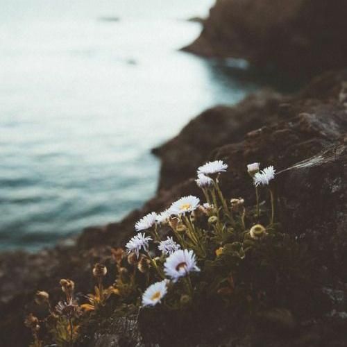 قصه عشقی که میگم عشق لیلای مجنونه با صدای دختر