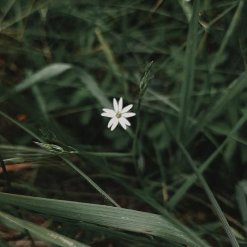  هنوزم چشمای تو مثل شبای پر ستارس با صدای دختر