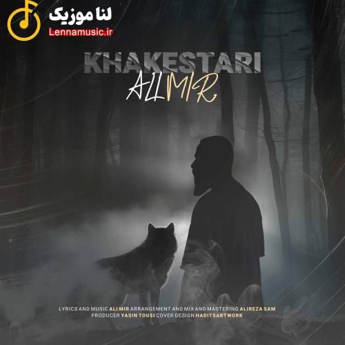 علی میر خاکستری