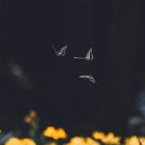  بگو تو هم هنو میوفتی یادم و بگو تو هم هنو منتظرمی