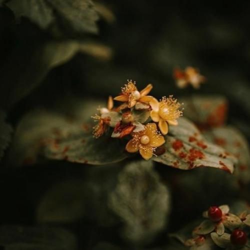 همه شدن چپ با من حتی خاموش میشه هی لپ تاپم