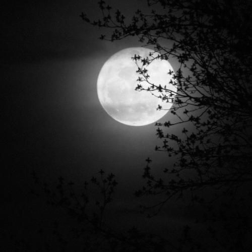 چشام رد دافم بد حال بدم دارم میرم از حال