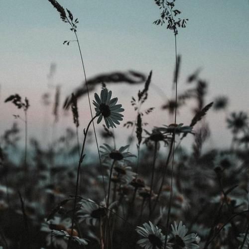 این آدما خوب بلدن هرجا نگن هر رازی رو