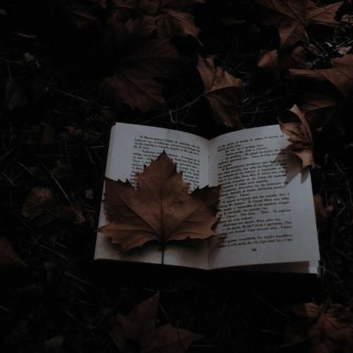 بابات موند روی حرفش داد بری کلکتو کندش