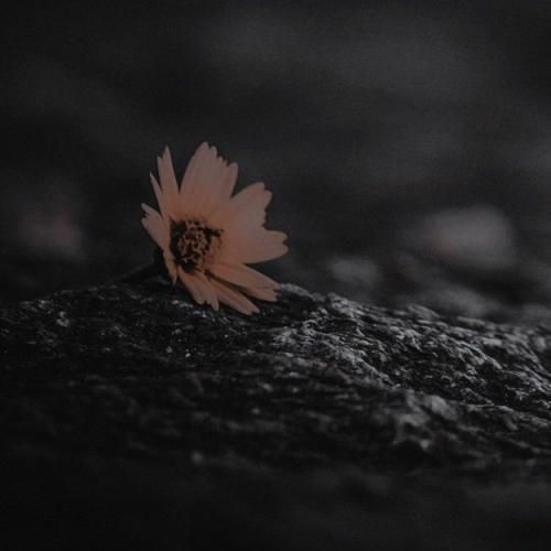 Bengu Beker Sana Yeldizlari Odedigimden