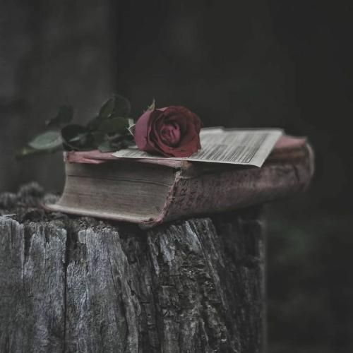 این دافم چپ شده هی به من میگه هندلم کن