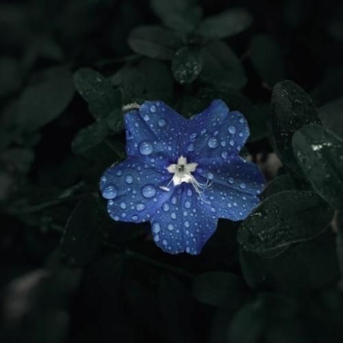 فینیتو فینیتو بدو بگیر سریع بیلیطیو چرا منو نمیبینی تو