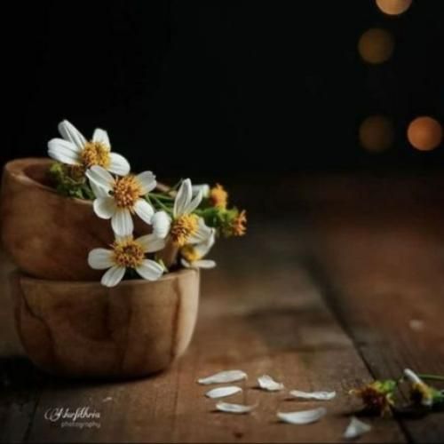  من یلی بیمه من جنگی بیمه گنگستر بیمه