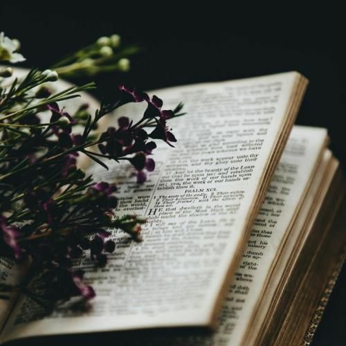 سیمگه آناهتار