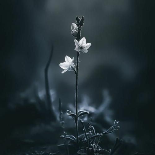 قلبمو کردم تیکه برات با اینکه بهتر از تو ریخته برام