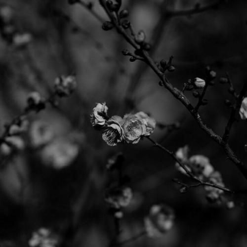 نگات تیزه ولی فرق داره با سوزن