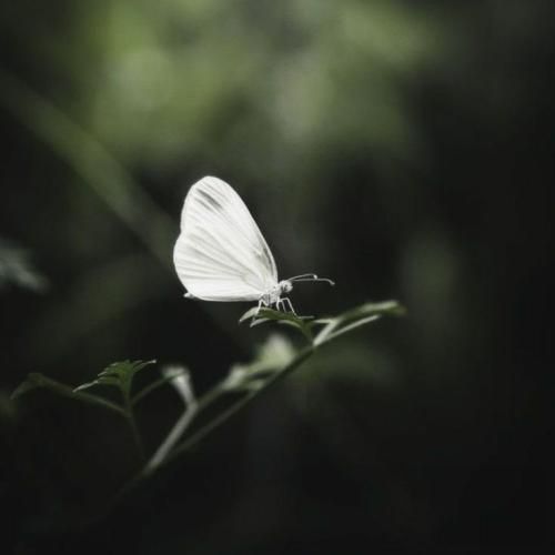  نمیدونم چرا با تو دارم یه حال جدیدی چرا همه چی قشنگه