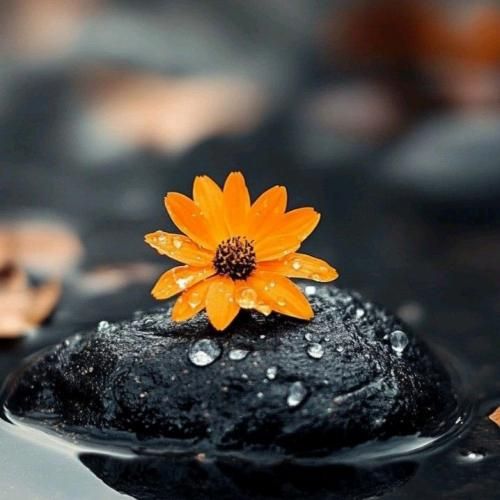 If You Done With Your Ex