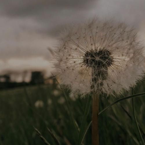  الان اونی شدم که دستتو نمیگیره به رگبار بستی منو