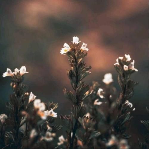  داری میری تو بیا برگرد خواستی گریه کنی