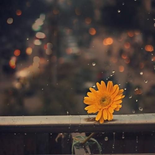 وقتی اون صدای نازت توی گوشم میره میرم یه جا دیگه