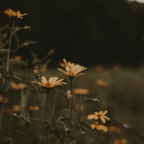  من واسه کاری که نکردم هیچ موقع معذرت نمیخوام