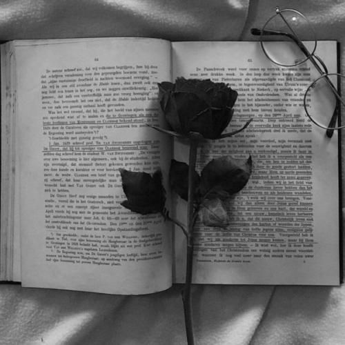  منو پس زد با دستاش دروغم بود لا حرفاش