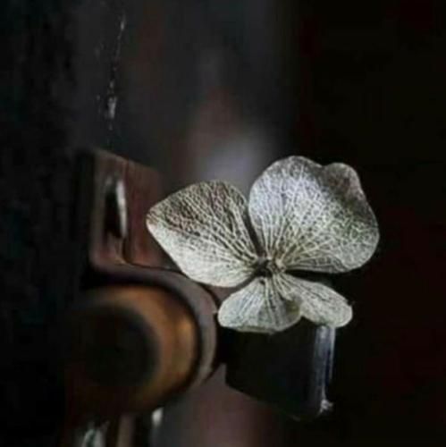  میگیری منو قد یه باتل