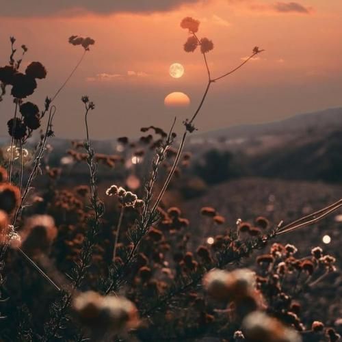 اگه شد نصف شبو نمون چشم به درو مامان مامان مامان گریه نکن