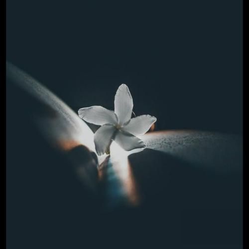  تو منو یادت نمیاد آخه غم بدتر از این