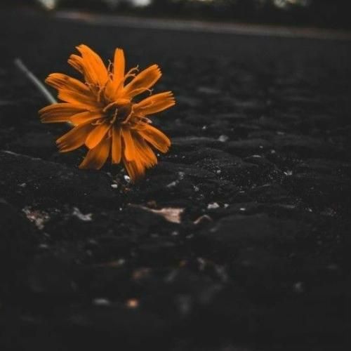 بیبی تو که راه میری من یادم میره فامیلیمم