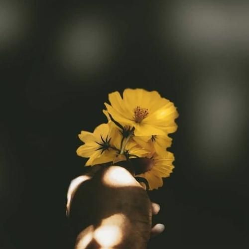  ندید این چشم های من از تو خاص تر