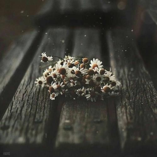 صدام از زمین پخش میشه کره مارس میره