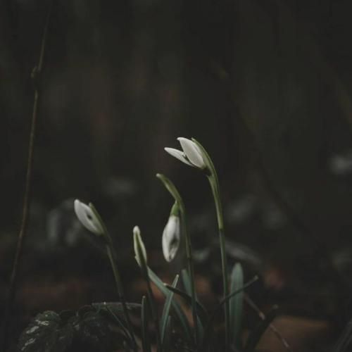 ترکی فاصله ها میان و میرن دور یا نزدیک چه فرقی میکنه