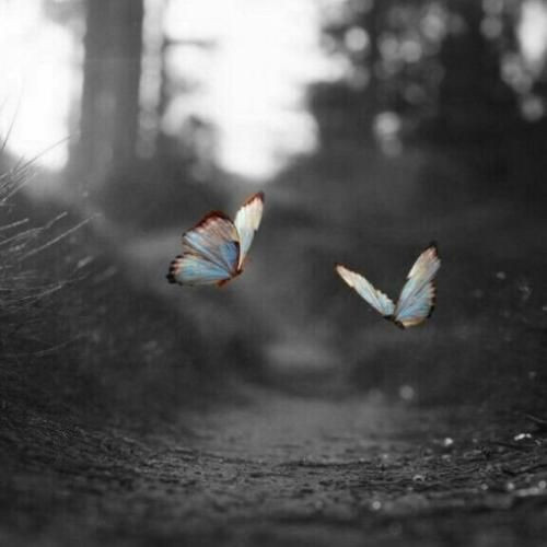  خیابونا تاریکه من یه روح شبگرد پر دود جلوم