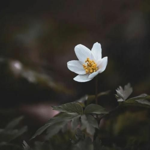  گرفتن ازم همه دوربینای شهر عکس منم بد مست آخر میرم تو جدول