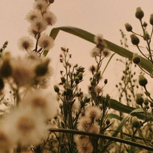 تموم نمیشن چراغای اتوبان مثل تو و دروغات بودم غرق اون