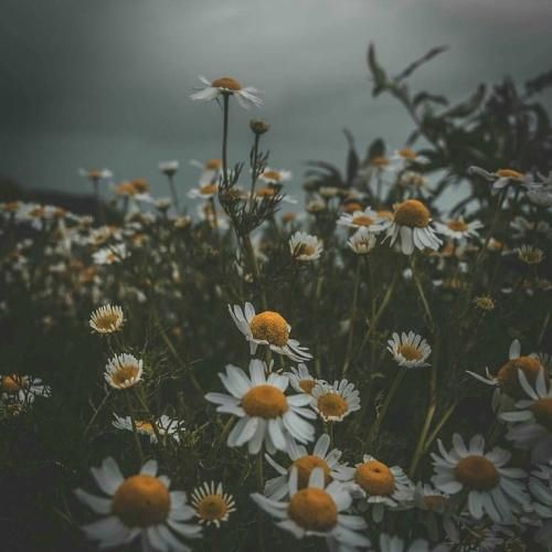 منی که بار غم رو تا پای جون کشیدم تو رو پیدا کردم به آرزوم رسیدم هوص مصنوعی