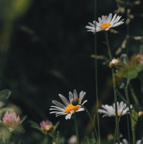 من دلم نمیخواست دیگه بگذرم از همه چی خیلی عادیه