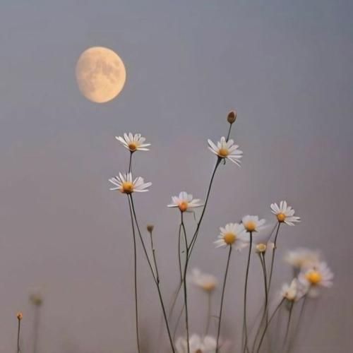 دﻳﺪی ﻧﺒﻮدم ﺑﺮام ﻋﺎدی ﻧﺒﻮد ﻧﺒﻮدﻧﻢ اﻳﻨﺎ ﻳﻪ روز ﺑﺮام ﻣﻬﻢ ﻧﻰ