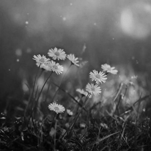  حواسم پرته تو بود و میخواستم زمان نره جلو هوش مصنوعی