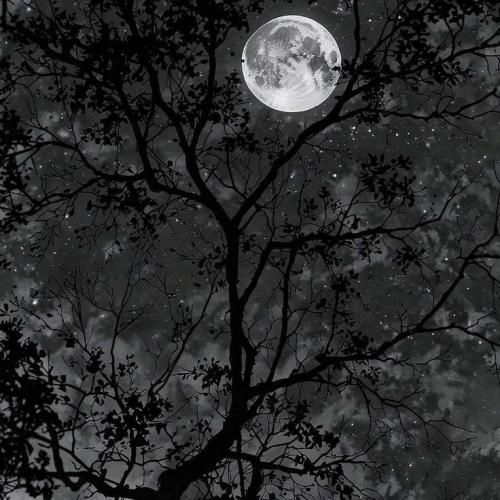  من بی تو داغونم بیا و بکن آرومم مگه کی بود میکس عربی ترند اینستایی