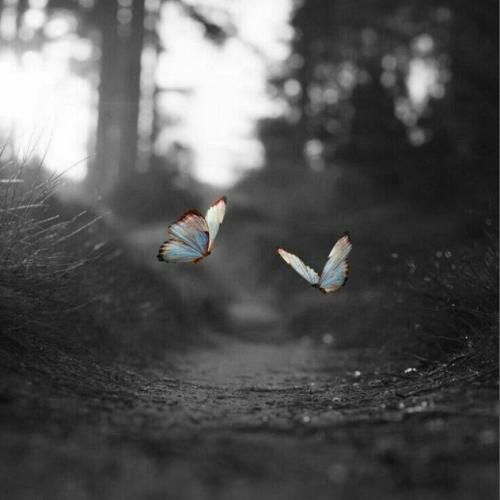  تا وقتی زنده هستم منتظرت میمونم