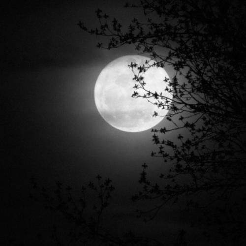 چینی عشقم لطفا نزار عشقمون از بین بره ترند اینستایی