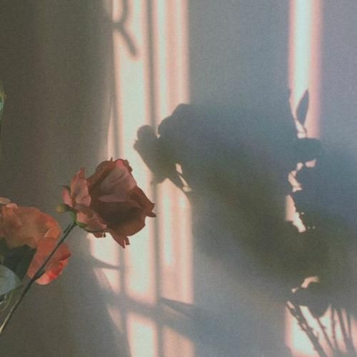 شیرین عبدالوهاب و مازال عالبال