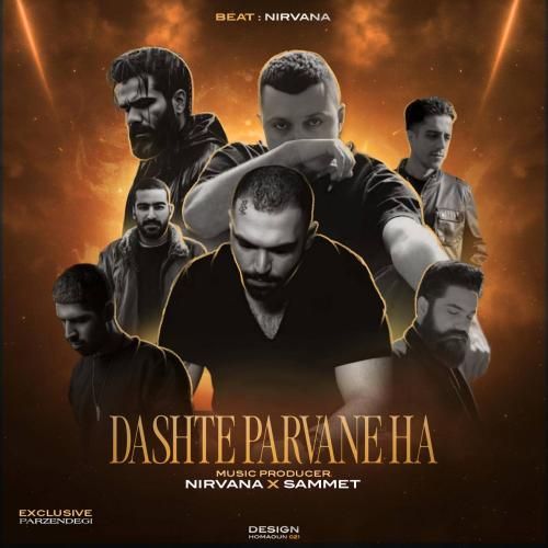 صامت دشت پروانه ها