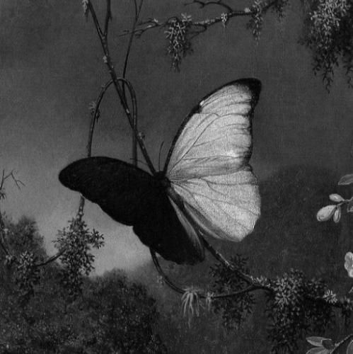  وقتی شدی انمی زدی قلبمو مثل تیر فکر نمیکردی بشه دیر