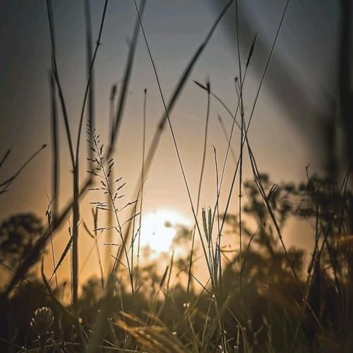  زده چشمک بم میاد امشب بام همه شدن