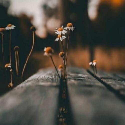 پس تو بهم قول بده منو هی هول بده