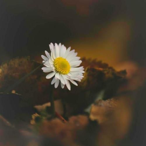 Kanye West Heartless